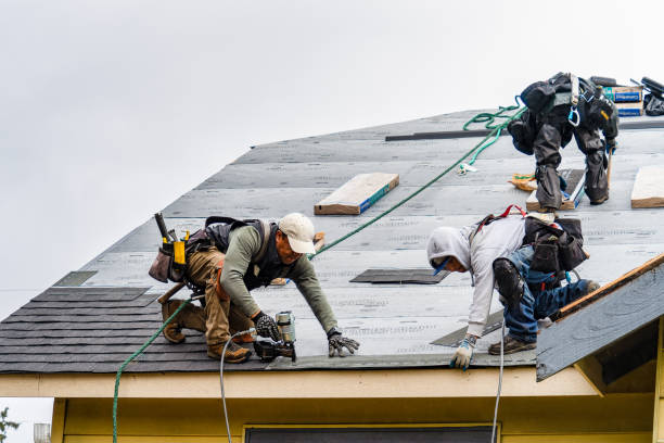 Professional Roofing technician working in Arock, OR